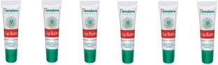 HIMALAYA Lip Balm Plain 6 x 10 g Packs Plain