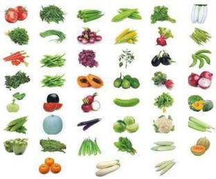 Seedshub Vegetable seeds combo, 20 variety seeds Seed