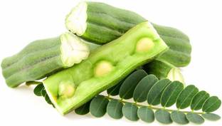 Handymade Grandma Garden Moringa seeds, Muringai, Mochakamu, Mulaga, Mulaga Chettu Seed