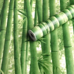 Oren Empower Vinyl, Paper Decorative Green Wallpaper