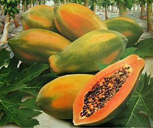 THAMMAR Papaya Seed