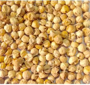 Aaradhyapriyal 100% Natural Paneer Doda For Diabetes,Indian Rannet,Paneer ka Phool Seed