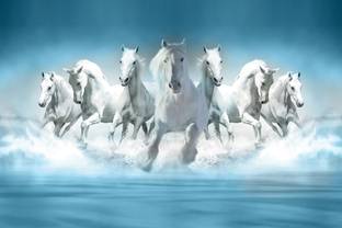 BPDESIGNSOLUTION Vinyl Animals Multicolor Wallpaper