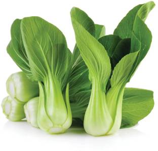 Paudha Pak Choi / Bok choy Seed