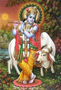Lord Krishna Photo Paper Poster (13 Inch X 19 inch) akl1958 Photographic Paper