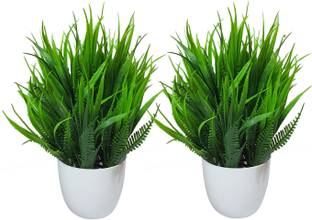 Litleo Set of 2 Plastic made oil painted Real looking For hoe office Gift Bonsai Artificial Plant  with Pot