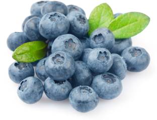 Futaba Dwarf Blueberry Seeds - 50 Pcs Seed