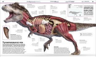 Knowledge Encyclopedia