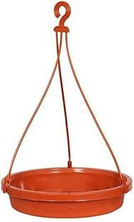 Paxidaya Window Bird Feeder Bird Feeder