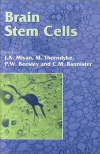 Brain Stem Cells