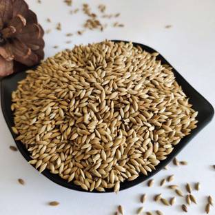 JJ FEEDS CANARY SEED Vegetable 0.9 kg Dry Adult, Young, Senior Bird Food 0.45 kg Dry Young Bird Food