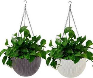 Funtastik Plant Container Set