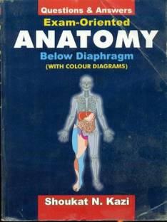 Exam Oriented Anatomy Below Diaphragm