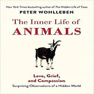 The Inner Life of Animals