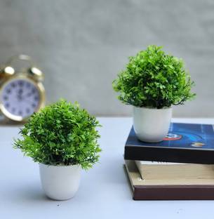 Litleo Set of 2 Small Size Great For Home Or Office Decoration or birthday Gift, Table Top Bonsai Artificial Plant with Pot Bonsai Artificial Plant  with Pot