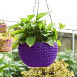Funtastik Hanging Basket With Hanging Chain for Modern and Stylish Balcony/Garden Decor Plant Container Set