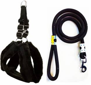 cavaly Dog Harness & Leash