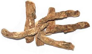 HM Herbals Vasambu Root/Sweet Flag/calamus Root Seed