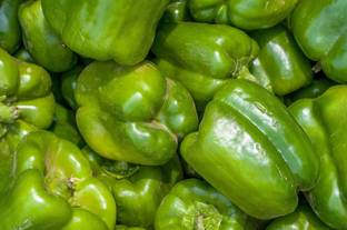 Countgreen Plus Capsicum (Simla Mirch/Pahadi Mirch) Seed