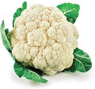 RACCOON cauliflower, full gobhi, gobhi, cauliflower Seed
