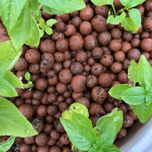 MASHKI Clay Balls for Hydrotons,Leca Lightweight Aggregate, Hydroponics and Aquaponics Soil