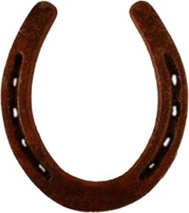 Ashnit Horse Shoe Ring