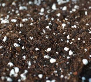 MyOwnGarden POTTING MIX FOR INDOOR PLANTS Soil