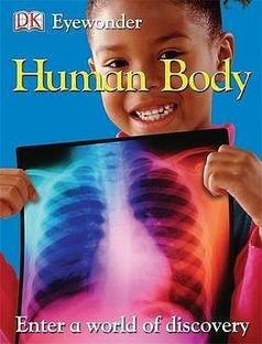 Human Body
