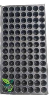EasySeeds SEEDLING-TRAY-98CAVITY-10TRAY Plant Container Set
