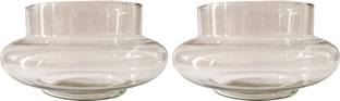 AGAMI Beautiful Transparent Big Round Shape Glass Pots for Flowers and Plants Plant Container Set