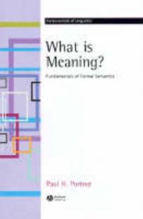 What is Meaning?