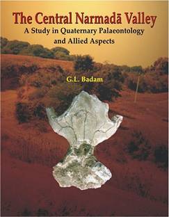 The Central Narmada Valley