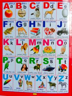 Kid's Word Book English - Bengali