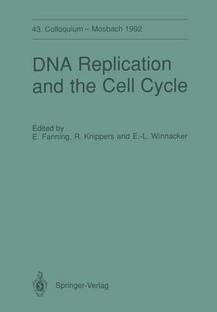 DNA Replication and the Cell Cycle