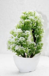 zonezer Artificial plant for home decoration pair set of 1 small table plant for office ,balcony ,dining table.white and green colour flower combo. White, Green Wild Flower Artificial Flower  with Pot