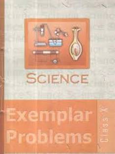Science Exemplar Problems Class 10