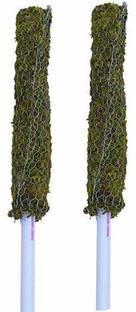 Dr Arya 2ft Each (Set of 2)|Moss Stick for Money Plant Support Creepers|Climbing Indoor Garden Mulch
