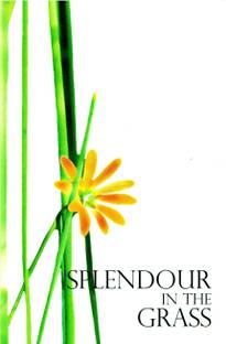 Splendour in the Grass