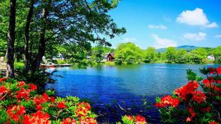 anshul internet point 45.72 cm BEAUTIFUL SCENERY 2 Self Adhesive Sticker