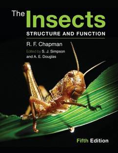 The Insects South Asian Edition