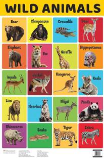 Wild Animals : Charts