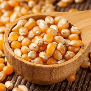 organic orchard Popcorn Kernels Seeds NA Popcorn