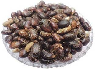 V Seed Castor Seeds Seed