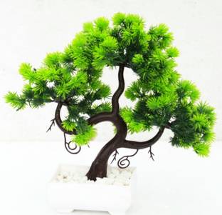 zonezer Artificial plant for decoration for office ,balcony ,dining table.in green colour Bonsai Wild Artificial Plant  with Pot