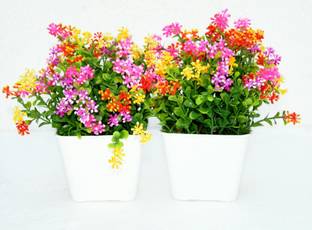 zonezer Multicolour flowers plant for home decoration pair set of 2 small table plant for office ,balcony ,dining table.good quality product for home. Multicolor Daisy Artificial Flower  with Pot