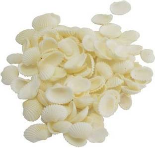 Thenkumari Sea shell white, 500 gm pack, used in aquarium, art & craft, decorations, table decorations, 500 pcs , size 2 cm River Rock Unplanted Substrate