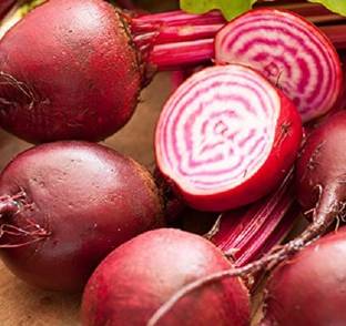 Sjeme Avenger beetroot seed Seed