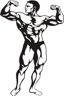Asmi Collections 60 cm Body Builder Wrestler Wall Stickers for Gym Self Adhesive Sticker