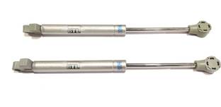 BTL Kitchen Cabinet Soft Close Gas Spring Stay Pneumatic, Hydraulic (Straight Arm Flap Soft Close Gas Lift Support) (Capacity-10Kg) (Cabinet Door Gas Spring with Soft Closing) (BCF-G100-SC) Self Closing Hinge