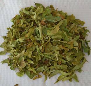 HERBALHUT NATURALS Fresh Natural Mehandi Leaves Natural Mehendi
